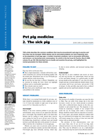 Pet pig medicine: 2. The sick pig
