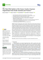 The tube-web spiders of the genus Ariadna (Araneae: Segestriidae) from South Australia and Victoria