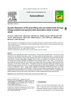 Genetic dissection of the grain-filling rate and related traits through linkage analysis and genome-wide association study in bread wheat