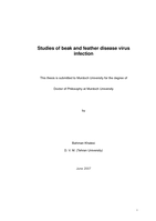 Studies of beak and feather disease virus infection