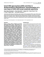Uracil DNA glycosylase (UDG) activities in Bradyrhizobium diazoefficiens: characterization of a new class of UDG with broad substrate specificity