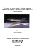 Biology of the spotted minnow Galaxias maculatus (Jenyns 1842) (Pisces: Galaxiidae) on the south coast of Western Australia