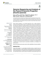 Genome sequencing and analysis of the peanut B-genome progenitor (Arachis ipaensis)
