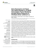 Gene Expression and yeast Two-Hybrid studies of 1R-MYB transcription factor mediating drought stress response in chickpea (Cicer arietinum L.)