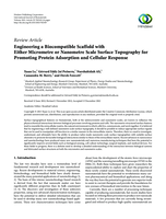 Engineering a biocompatible scaffold with either micrometre or nanometre scale surface topography for promoting protein adsorption and cellular response