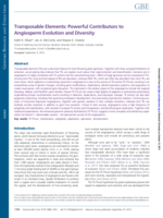 Transposable elements: Powerful contributors to angiosperm evolution and diversity