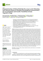 Characterization of maize hybrids (Zea mays L.) for detecting salt tolerance based on morpho-physiological characteristics, ion accumulation and genetic Variability at early vegetative stage