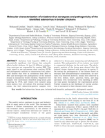 Molecular characterization of aviadenovirus serotypes and pathogenicity of the identified adenovirus in broiler chickens