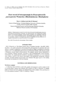 First record of tetrasporangia in Herposiphoniella plurisegmenta Womersley (Rhodomelaceae: Rhodophyta)