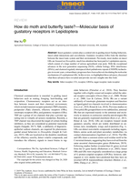 How do moth and butterfly taste?—Molecular basis of gustatory receptors in Lepidoptera