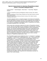 Spectral measurements for detecting Phytophthora-related stress in Corymbia calophylla (marri)