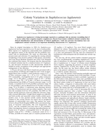 Colony variation in Staphylococcus lugdunensis