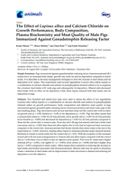 The Effect of Lupinus albus and Calcium Chloride on Growth Performance, Body Composition, Plasma Biochemistry and Meat Quality of Male Pigs Immunized Against Gonadotrophin Releasing Factor