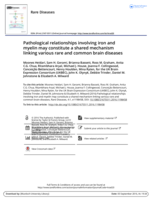 Pathological relationships involving iron and myelin may constitute a shared mechanism linking various rare and common brain diseases