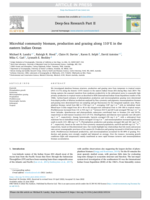 Microbial community biomass, production and grazing along 110°E in the eastern Indian Ocean