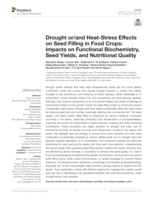 Drought or/and Heat-Stress effects on seed filling in food crops: Impacts on functional biochemistry, seed yields, and nutritional quality