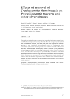 Effects of removal of Tradescantia fluminensis on Powelliphanta traversi and other invertebrates