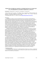 Formation of dibenzo-p-dioxins and dibenzofurans in oxidation of 2-chlorophenol over iron oxide/silica surface
