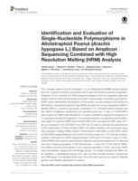 Identification and evaluation of Single-Nucleotide polymorphisms in Allotetraploid Peanut (Arachis hypogaea L.) based on Amplicon sequencing combined with High Resolution Melting (HRM) analysis
