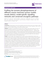 Profiling the tyrosine phosphoproteome of different mouse mammary tumour models reveals distinct, model-specific signalling networks and conserved oncogenic pathways