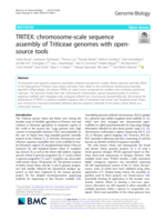 TRITEX: chromosome-scale sequence assembly of Triticeae genomes with open-source tools