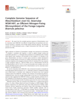 Complete Genome Sequence of Mesorhizobium ciceri bv. biserrulae WSM1497, an Efficient Nitrogen-Fixing Microsymbiont of the Forage Legume Biserrula pelecinus