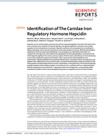 Identification of the Canidae iron regulatory hormone hepcidin
