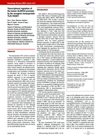 Transcriptional regulation of the human ALDH1A1 promoter by the oncogenic homeoprotein TLX1/HOX11