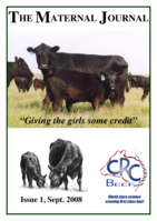 Maternal Productivity Project – Part 3: Bulls, Cows and Calves