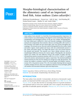 Morpho-histological characterisation of the alimentary canal of an important food fish, Asian seabass (Lates calcarifer)