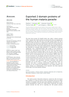 Exported J domain proteins of the human malaria parasite