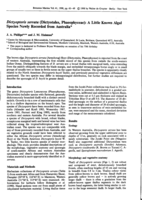 Dictyopteris serrata (Dictyotales, Phaeophyceae): A little known algal species newly recorded from Australia