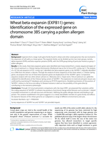Wheat beta-expansin (EXPB11) genes: Identification of the expressed gene on chromosome 3BS carrying a pollen allergen domain