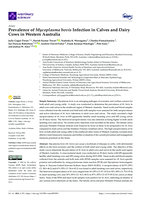 Prevalence of Mycoplasma bovis Infection in calves and dairy cows in Western Australia