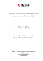 Hysterangium mats and associated bacteria under eucalyptus gomphocephala in south-western Australia