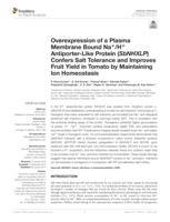 Overexpression of a plasma membrane bound Na+/H+ Antiporter-Like Protein (SbNHXLP) confers salt tolerance and improves fruit yield in tomato by maintaining Ion homeostasis