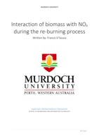 Interaction of biomass with NOx during the re-burning process