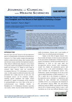 After the flood: A multidisciplinary investigation of human remains found in a floodplain and first record of Raft Spiders colonizing a corpse