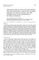 Structure of syncytia induced by phytoparasitic nematode nacobbus-aberrans in tomato roots, and possible role of plasmodesmata in their nutrition
