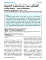 Reconstructing Mammalian Phylogenies: A Detailed Comparison of the Cytochrome b and Cytochrome Oxidase Subunit I Mitochondrial Genes
