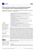 Synovium-Synovial fluid axis in osteoarthritis pathology: A key regulator of the cartilage degradation process