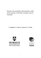Genetic (microsatellite) determination of the stock structure of the blue swimmer crab in Australia