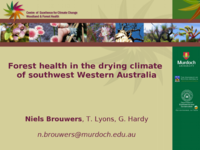 Forest health in the drying climate of southwest Western Australia