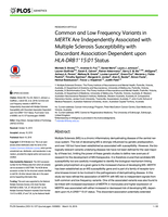 Common and low frequency variants in MERTK are independently associated with multiple sclerosis susceptibility with discordant association dependent upon HLA-DRB1*15:01 status