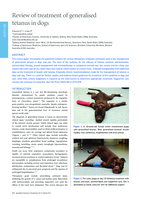 Review of treatment of generalised tetanus in dogs