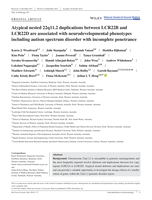 Atypical nested 22q11.2 duplications between LCR22B and LCR22D are associated with neurodevelopmental phenotypes including autism spectrum disorder with incomplete penetrance