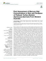First assessment of Mercury (Hg) concentrations in skin and Carapace of Flatback Turtles (Natator depressus) (Garman) from Western Australia