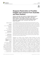Seagrass restoration is possible: Insights and lessons from Australia and New Zealand