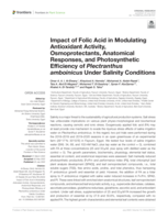 Impact of folic acid in modulating antioxidant activity, osmoprotectants, anatomical responses, and photosynthetic efficiency of Plectranthus amboinicus under salinity conditions