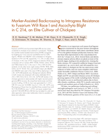 Marker‐Assisted Backcrossing to Introgress Resistance to Fusarium Wilt Race 1 and Ascochyta Blight in C 214, an Elite Cultivar of Chickpea